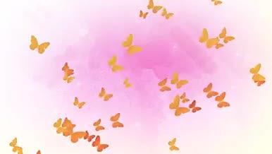 淡雅浪漫桔红蝴蝶飞舞爱情背景AE模板视频的预览图